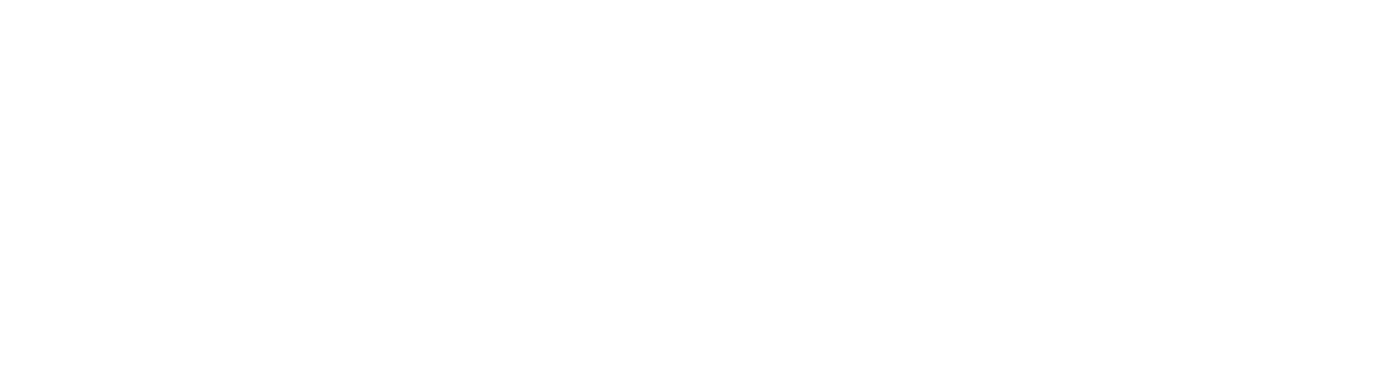Opera Partner