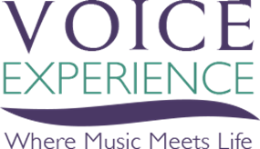 VOICExperience