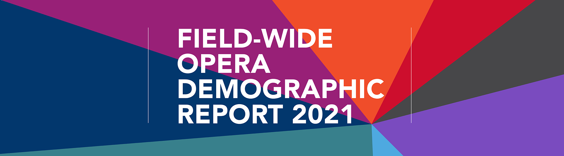 Demographic Survey Report