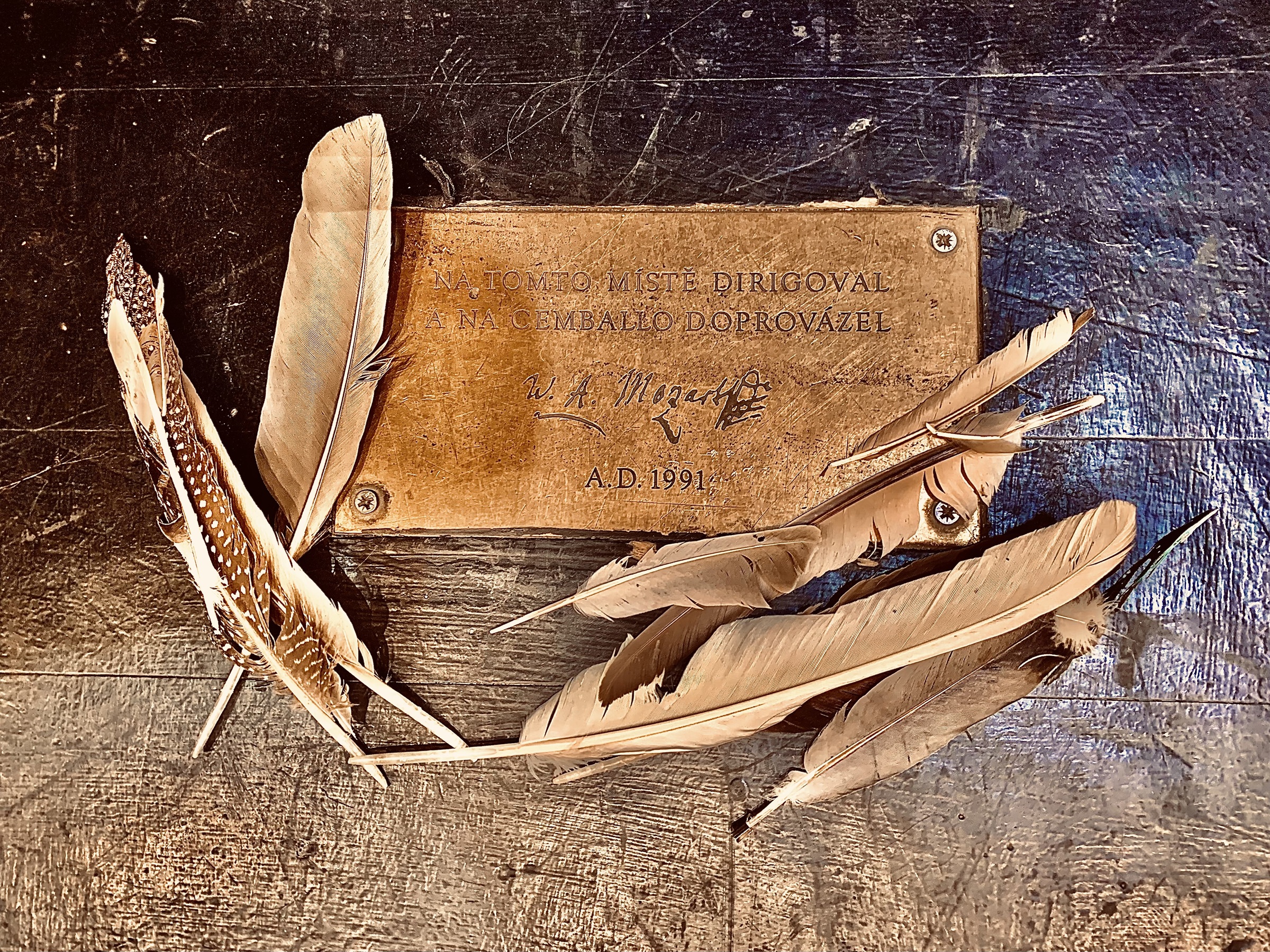 Feathers placed by Timothy Long at the spot where Mozart conducted the 1787 premiere of Don Giovanni at the Estates Theatre in Prague (photo: courtesy of Timothy Long)