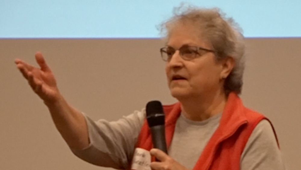 Barbara Wheatley at a town hall meeting